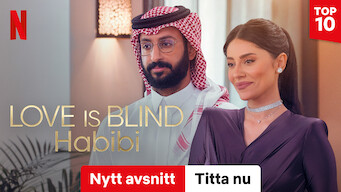 Love Is Blind, Habibi (2024)